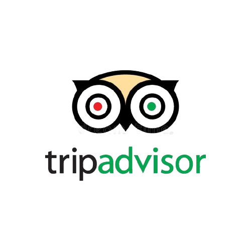Tripadvisor Reviews